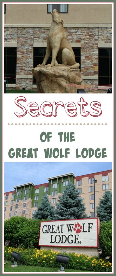 From Spells to Splashes: Combining Magic and Water Fun with Great Wolf Lodge's Magical Rods!